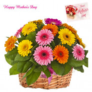 Flowers Assortment - 36 Assorted Flowers Basket and Mother's Day Greeting Card