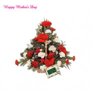 Refreshing Basket - 20 Red & White Carnations Basket and Mother's Day Greeting Card