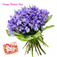 Attractive Orchids - 12 Purple Orchids Bunch and Mother's Day Greeting Card