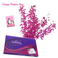Purple Celebration - 12 Purple Orchids bunch, Cadbury Celebration 118 gms and card
