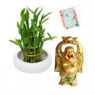 Lucky Year - Good Luck Plant, Small Laughing Buddha & Card
