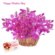 Orchid For You - 24 Purple Orchids Basket and Card