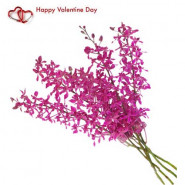 Passion of Purple - 8 Purple Orchids Bouquet + Card