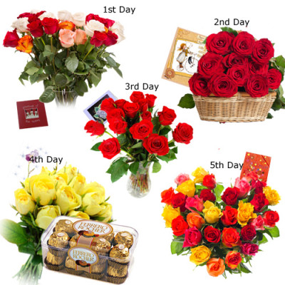 5 Day Serenade : Lovely Memories