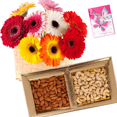 Heavenly - Bunch of 25 Mix Color Gerberas, Almond & Cashew 200 gms Box