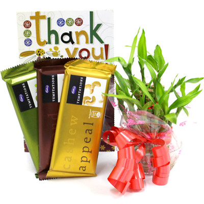 Tempting Luck - 3 Temptations, 2 Layer Bamboo Plant