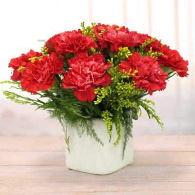 Romantic Vase - 10 Red Carnations Vase