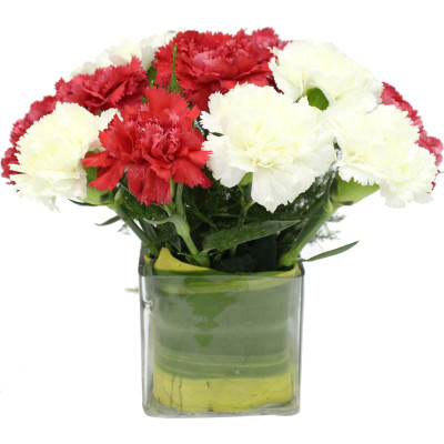 Cheerful Expressions - 10 Red & White Carnations Vase
