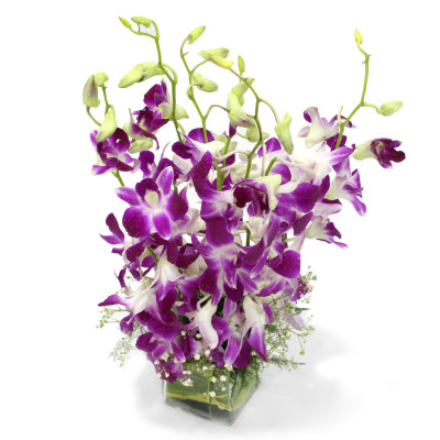 Royal Delight - 10 Purple Orchids Vase