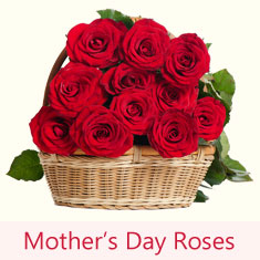 Mothers Day Roses