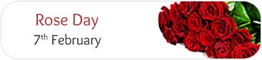 Rose Day