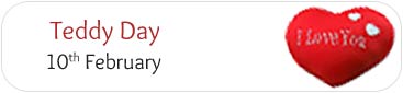 Teddy Day
