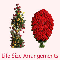 Life Size Arrangement