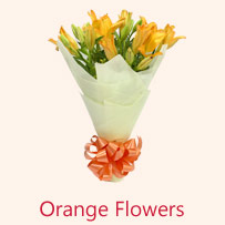 Orange Flowers