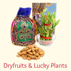 Dryfruits & Good Luck Plants