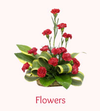 Flowers to Ahmedabad