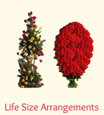 Life Size Arrangements