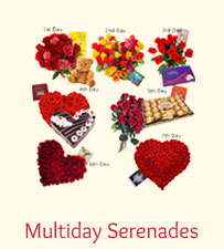 Multiday Serenades