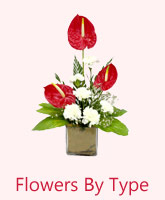Flowers By Type